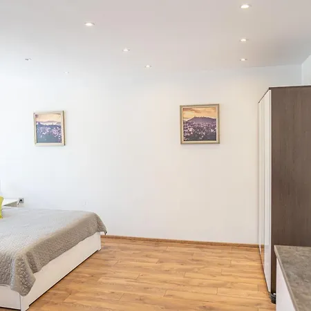 Shushi's Apartament *