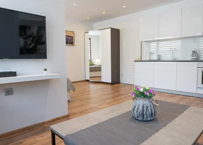 Shushi's Apartament *