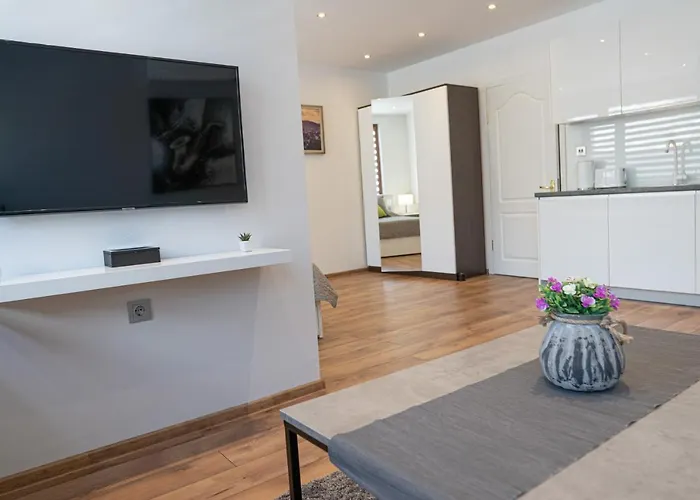 Shushi's Apartament *